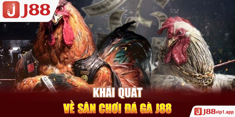 Khái quát về sân chơi đá gà J88