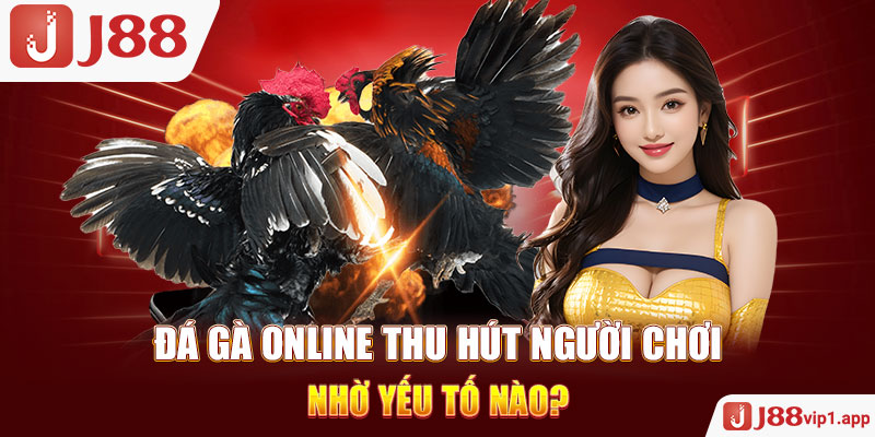Đá gà online thu hút người chơi nhờ yếu tố nào?